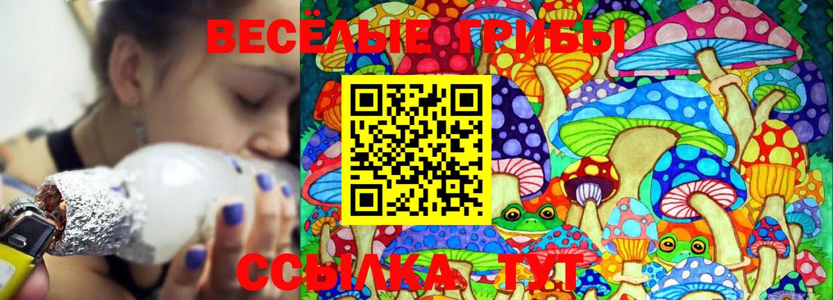 Псилоцибиновые грибы мицелий  Сургут  Псилоцибиновые грибы прущие грибы 