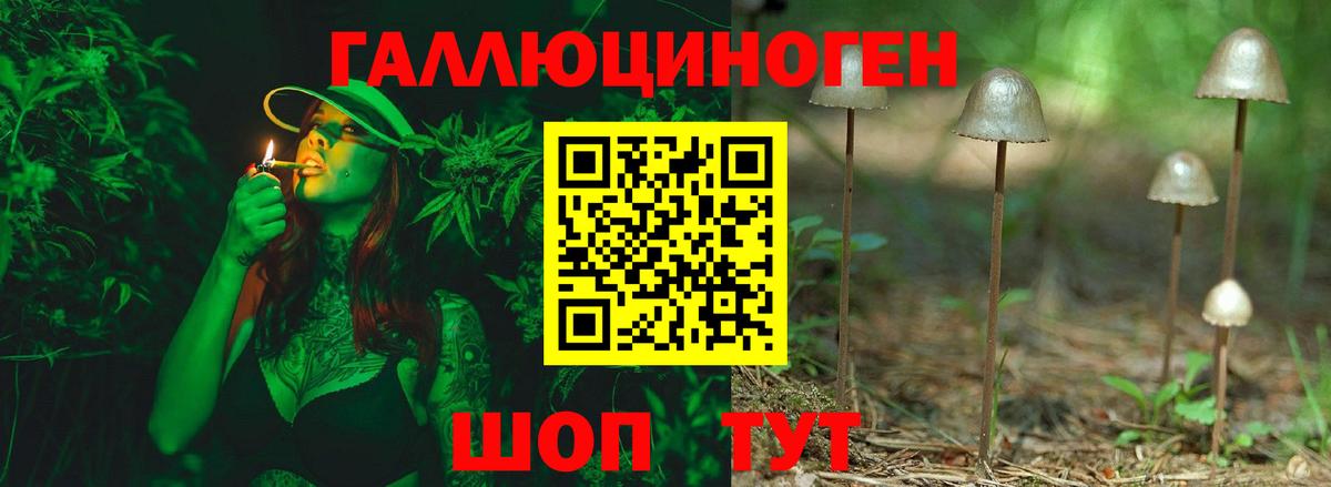Псилоцибиновые грибы мицелий Сургут